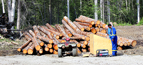 forestry 560 2