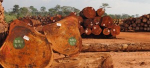 Cameroon 560