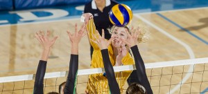 Canada West Volleyball (CIS): January 31, 2014 - UBC Thunderbirds host Saskatchewanl
