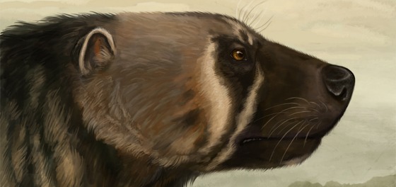 560_Ancient_wolverine 2