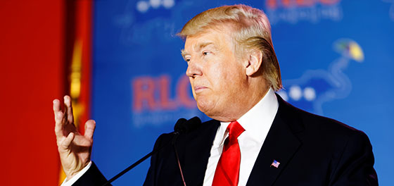 UBCReports-Donald-560