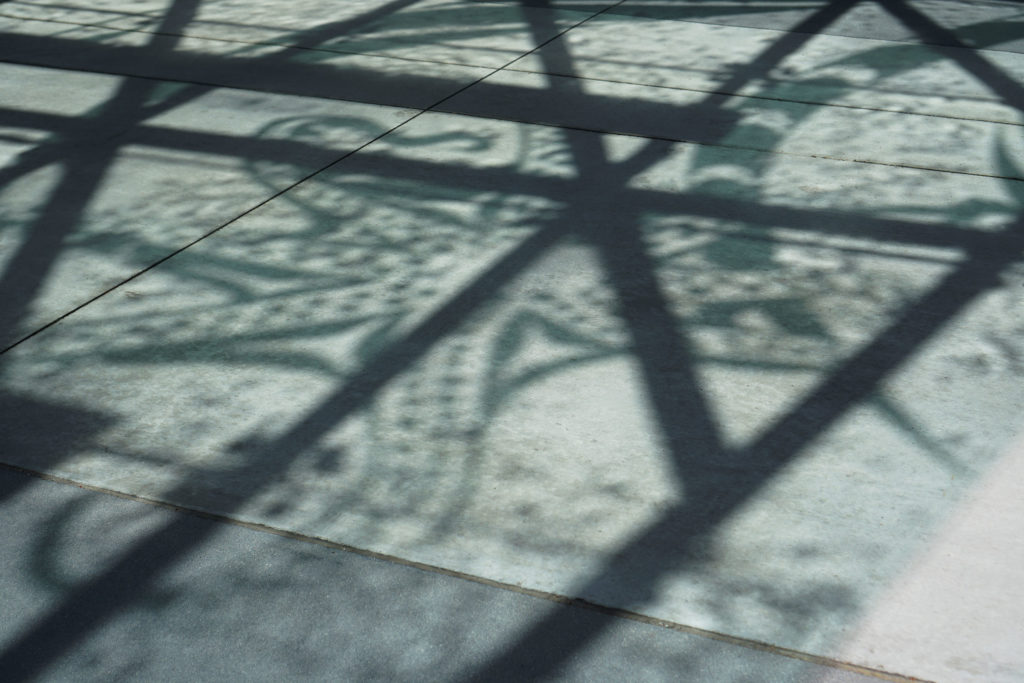 Octopus shadow from the glass canopy