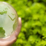 UBC experts on World Environment Day