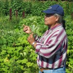 Lix Lopez is a member of the Maya in Exile Garden. Photo: UBC Farm