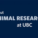 UBC releases its 2012 animal research statistics