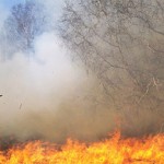 Wildfires are dangerous, and so is wildfire smoke