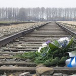Experts advisory: 70th anniversary of Auschwitz liberation