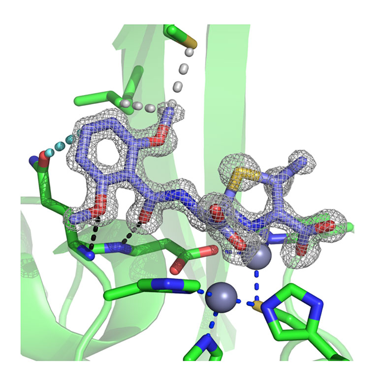 Structural snapshot of the NDM-1 metallo-β-lactamase destroying a β-lactam antibiotic (methicillin). 