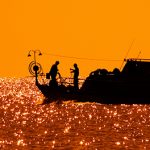 Subsidies promote overfishing and hurt small-scale fishers worldwide