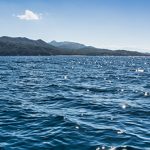 Ocean conservation needs a Hippocratic oath –do no harm