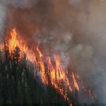 We created B.C.’s wildfire problem – and we can fix it
