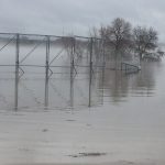UBC experts on flooding