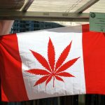 UBC experts on recreational cannabis legalization