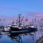 Fishing fleets travelling further to catch fewer fish