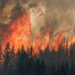 UBC experts on wildfires and associated issues