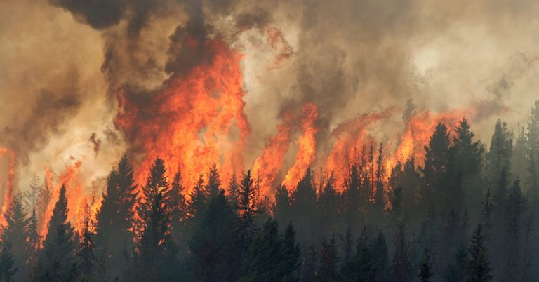 UBC experts on wildfires