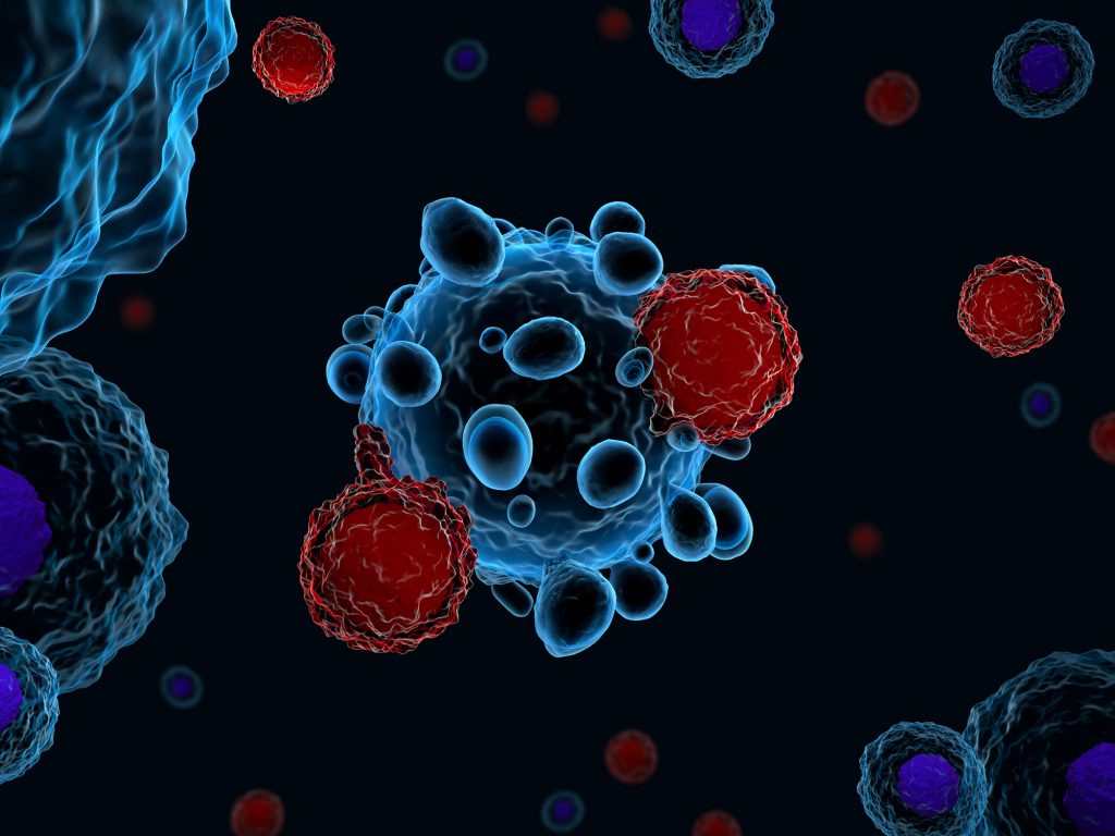 T Cells attacking cancer cells Shutterstock