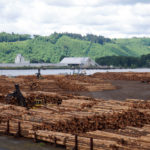 Restrictions on B.C. log exports don’t make a lot of sense