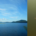 The main study site at Kennedy Lake on Vancouver Island, British Columbia (left) and a threespine stickleback fish (right). Credit: Seth Rudman
