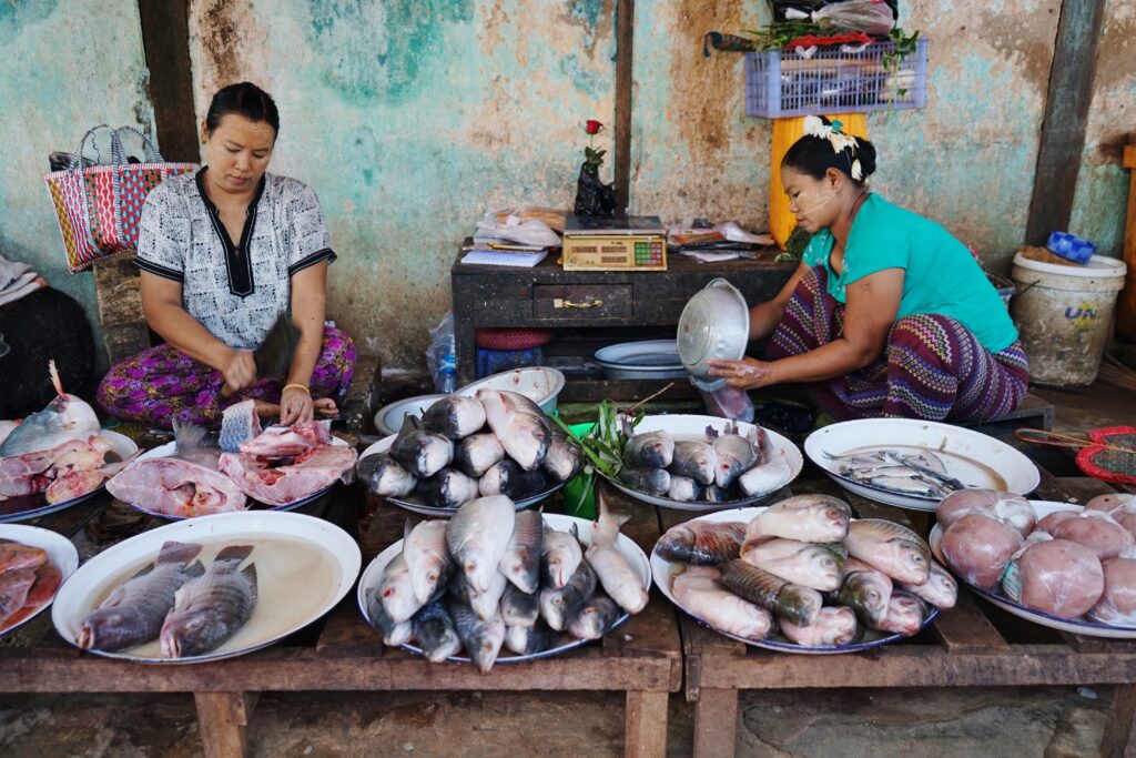 Fish market in Bagan, Myanmar