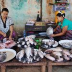 Fish market in Bagan, Myanmar.