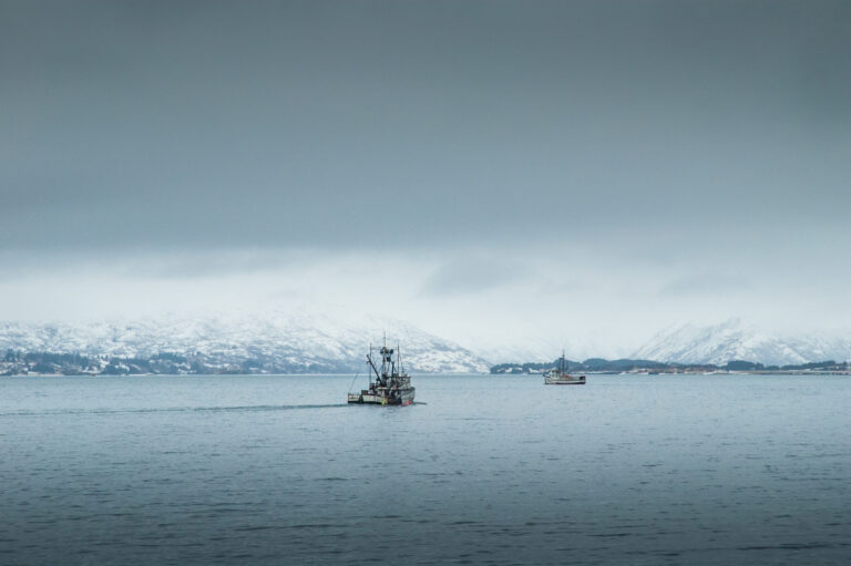 Rapidly changing Arctic fisheries potential requires comprehensive management