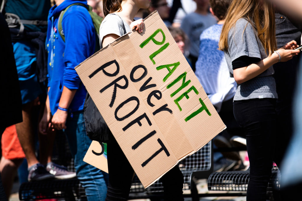 Climate strike protest sign