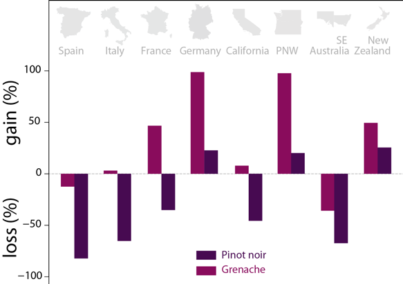 Projected impact of 2°C of warming on two popular varieties