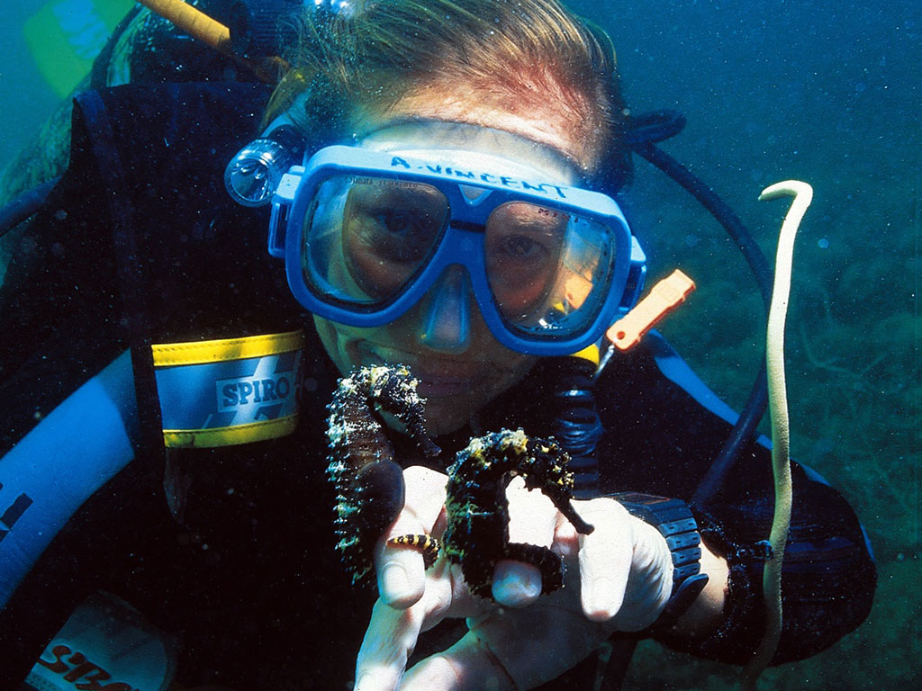 Amanda Vincent underwater with two seahorses