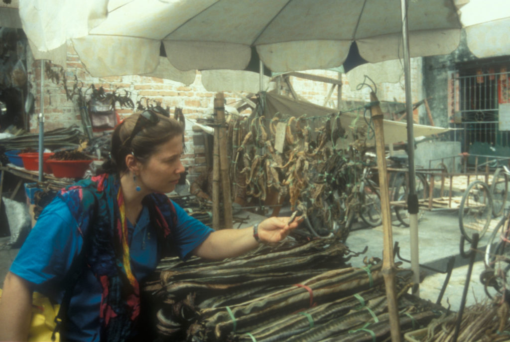 Amanda Vincent at a market in Beihai, China