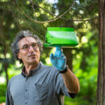 UBC forestry professor Richard Hamelin inspects a gypsy moth trap