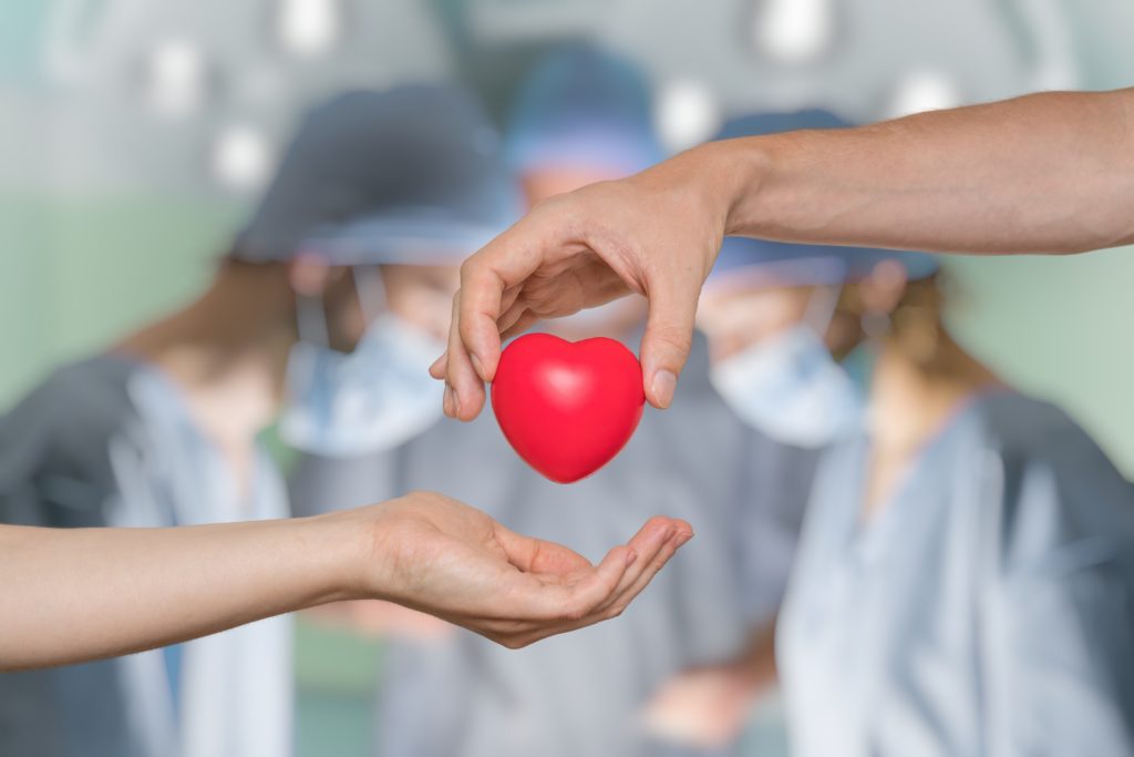 Heart transplant and organ donation concept. Hand is giving red heart.