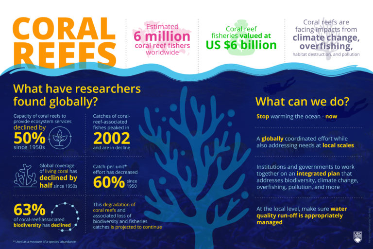 Coral reefs are 50% less able to provide food, jobs, and climate ...