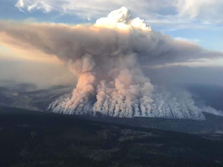 Review of Elephant Hill fire calls for Indigenous leadership in wildfire management and recovery