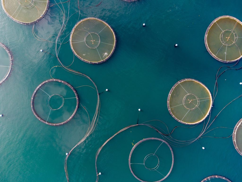 Aerial view of a fish farm