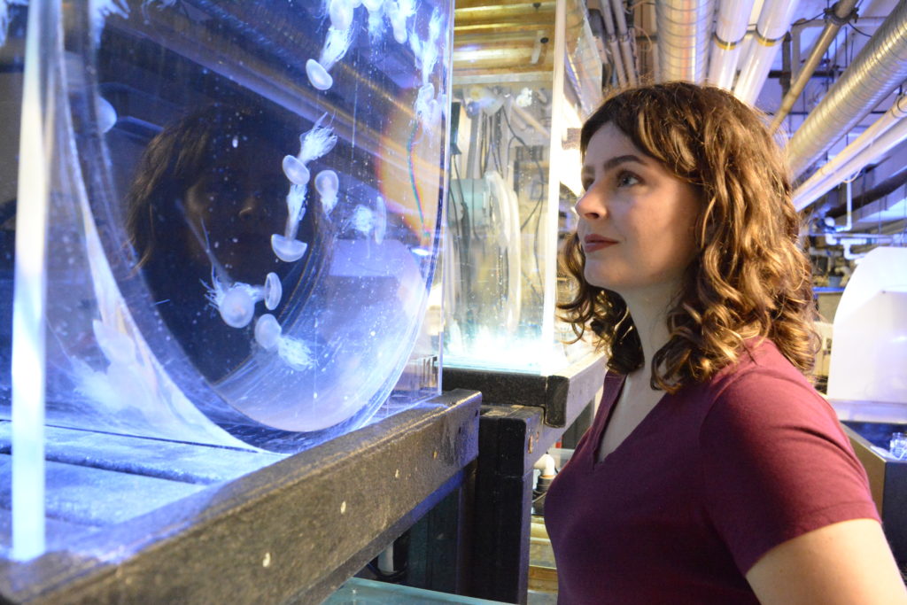 Jessica Schaub staring at a bloom at jellyfish at Vancouver Aquarium