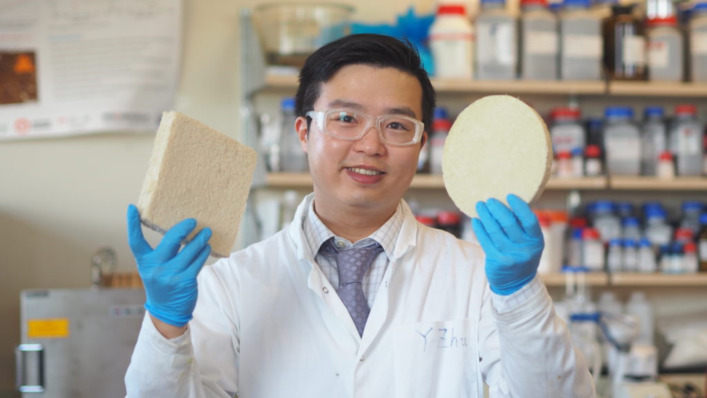 UBC postdoctoral fellow Dr. Yeling Zhu shows samples of the biodegradable foam.