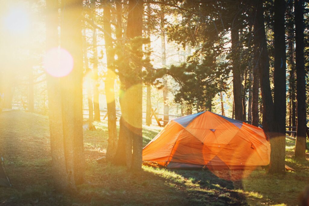 Camping tent amongst tall trees at sunset