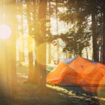 Caring for our forests this camping season