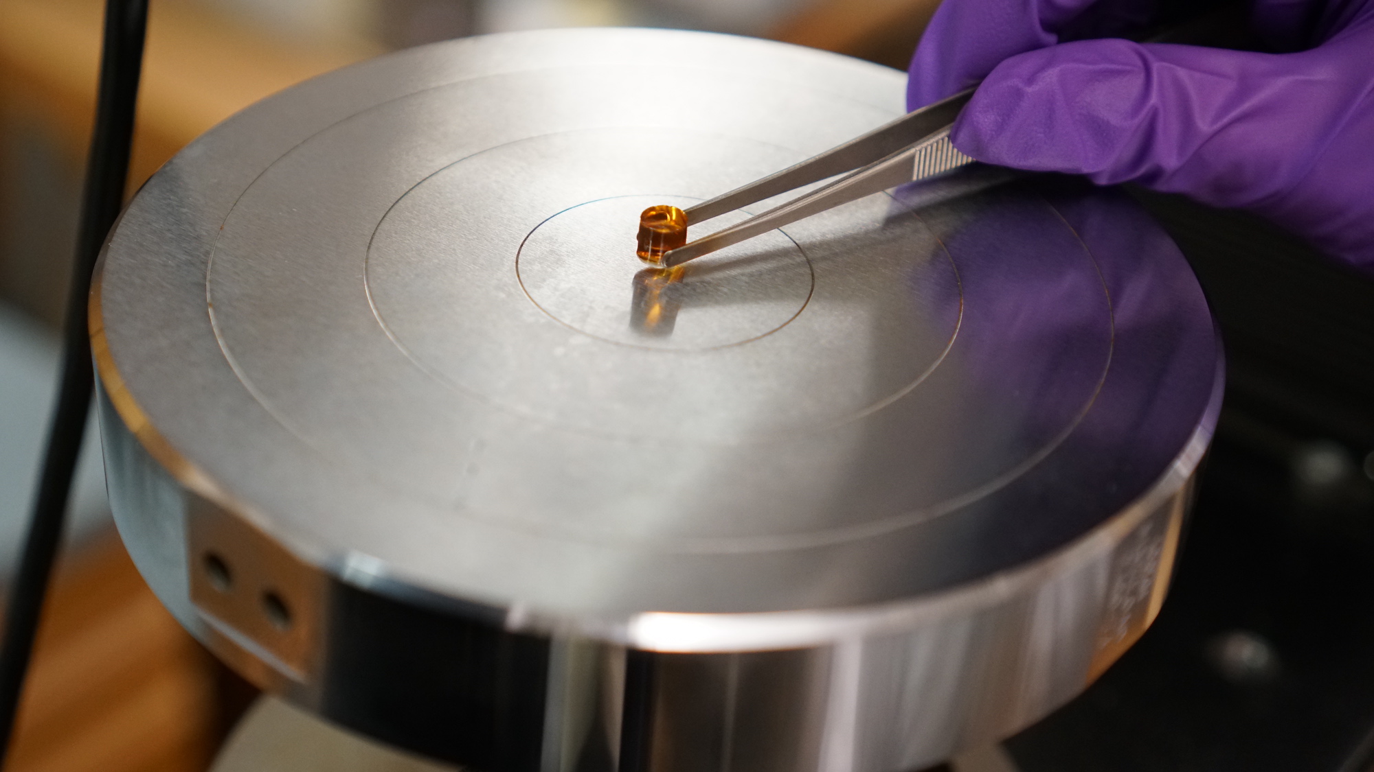 Using a pair of tweezers, a researcher is placing the tiny copper coloured hydrogel on a compression machine.
