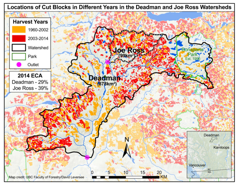 Clearcut logging leads to more frequent flooding, including extreme floods