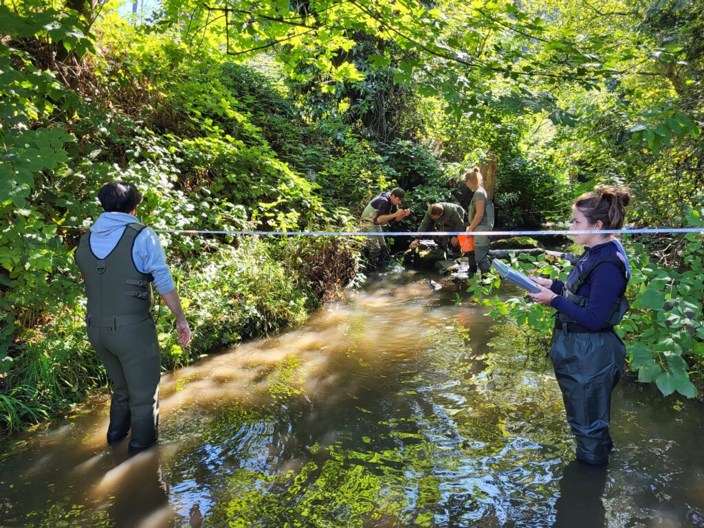 Five researchers are pictured in a stream somewhere in the Lower Mainland in hopes of building future rain gardens and other “green infrastructure” that can contain this toxic chemical shed by car tires