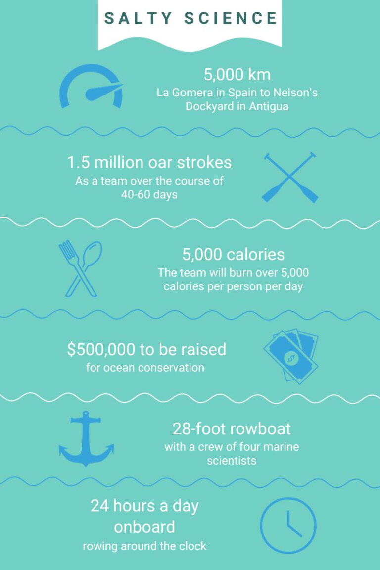 Infographic outlining the numbers involved with their journey to row 5,000 kilometres from La Gomera in Spain to Nelson's Dockyard in Antigua.There'll be 1.5 million oar strokes as a team over the course of 40-60 days. The team will burn over 5,000 calories per person per day. The team aims to raise USD$500,000 for marine science and conservation through three organizations. They'll be on the 28-foot rowboat rowing 24 hours.