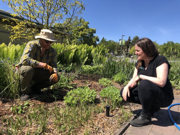 Top tips for gardening in a drought