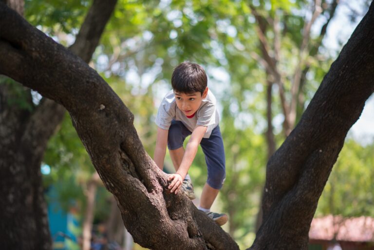 Why your kids should take risks while playing outdoors this summer