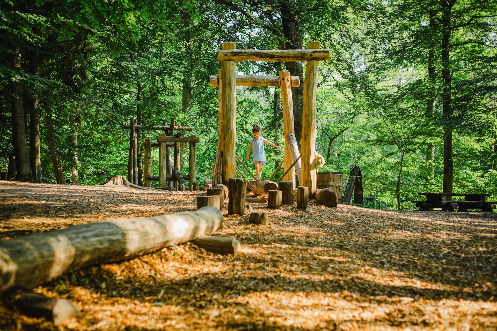 Keep outdoor play spaces cool: the best trees, shrubs and plants for shade