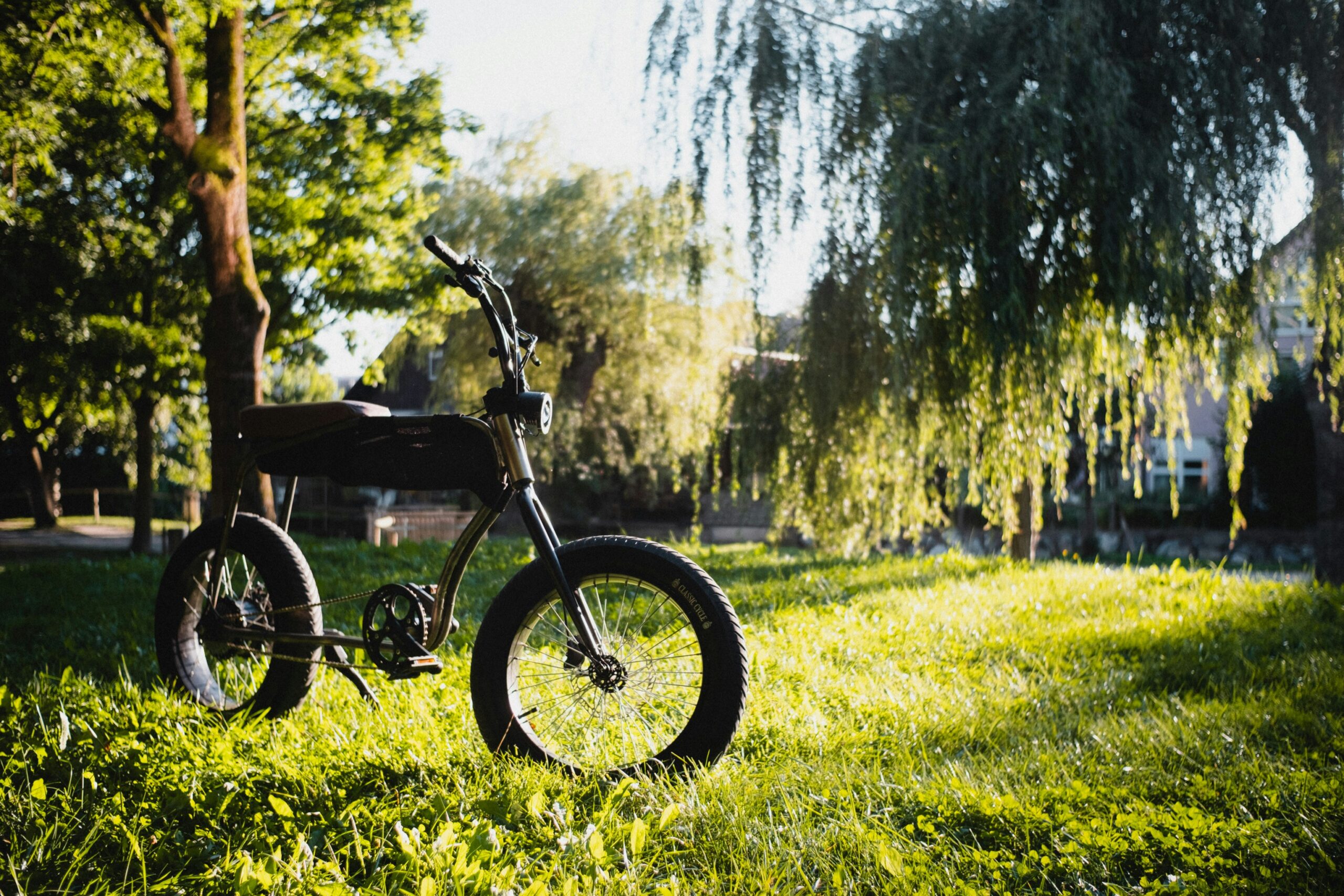 Skyrocketing e-bike use drives speed increase on Metro Vancouver pathways