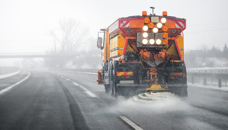 Winter road salt could be killing salmon eggs