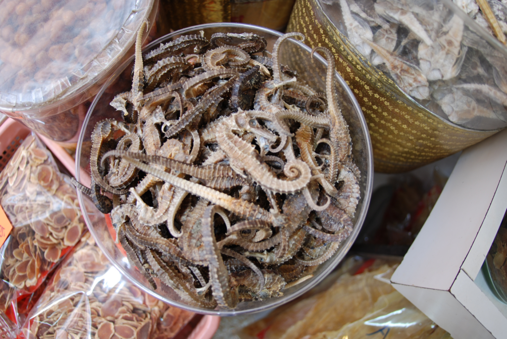 Nearly five million seized seahorses just ‘tip of the iceberg’ in global wildlife smuggling