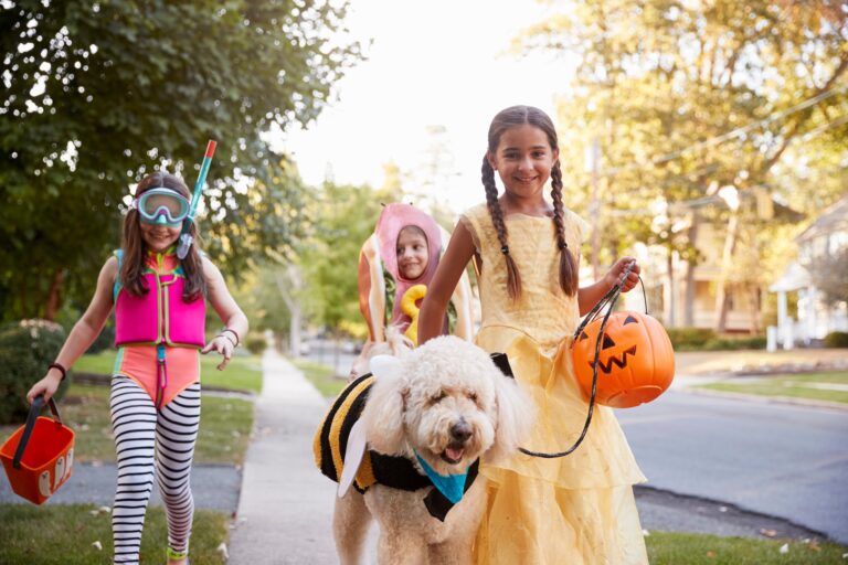 How to navigate cultural appropriation versus appreciation this Halloween